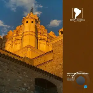 Ignacio Salgado & Mantij - Pulsed (2025)