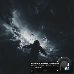 Sammy & Lesen x RobxDan feat Shawn O'Donnell - All the Small Things (2025)