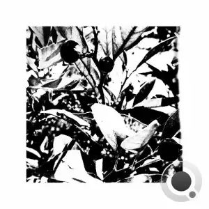 Inner Fade - Out Of Focus (2025)