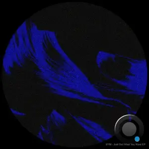 SYM - Just Get What You Want (2025)