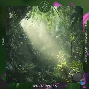 Sinai (IT) & The Magic Sun - Wilderness (2025)