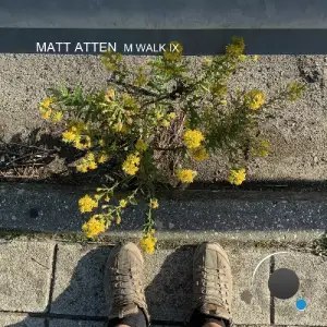 Matt Atten - M Walk IX (2025)