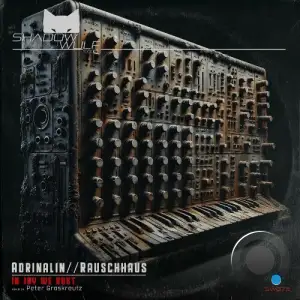 Rauschhaus & Adrinalin - In Joy We Rust (2025)