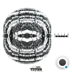Skind - Motion (2025)