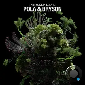 FABRICLIVE presents Pola & Bryson (DJ Mix) (2025)