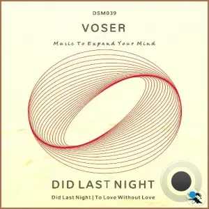 Voser - Did Last Night (2025)