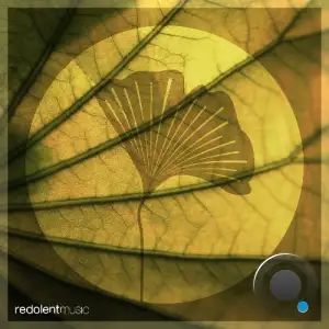 Marco Dily, Aminu - Teardrop (Stevie Keys Remix) (2025)