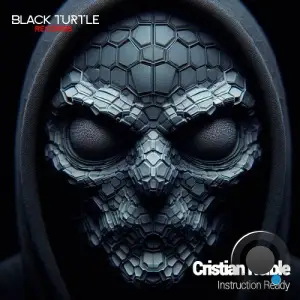 Cristian Reible - Instruction Ready (2025)
