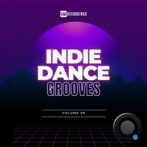 Indie Dance Grooves, Vol. 30 (2025)