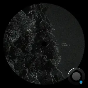 Anteac - Hidden Bay (2025)