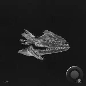 Trail - Tenebris (2025)