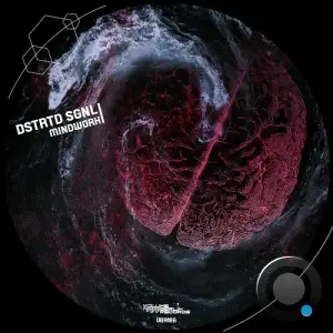 DSTRTD SGNL - Mindwork (2025)