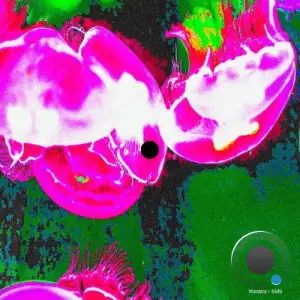 Waslala - SMS (2025)