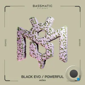 Akoka - Black Evo / Powerful (2025)