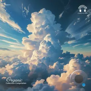 Organic Collection Compilation (2025)