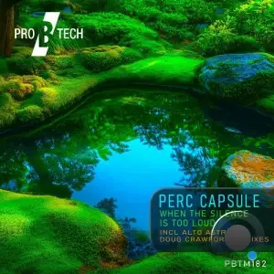 Perc Capsule - When the Silence Is Too Loud (2025)