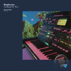 Bogliacino - Looking for You (2025)