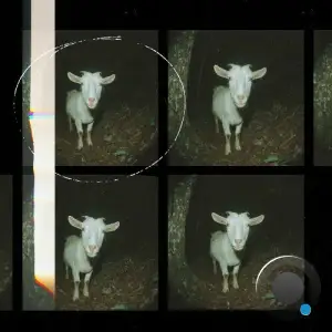 Anja Schneider - Scary Goat (2025)