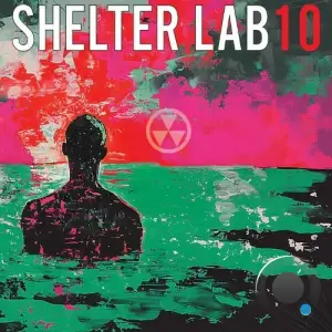 Timmy Regisford - Shelter Lab 10 (2025)
