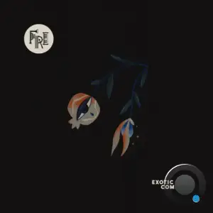Exotic Duo - Come One (2025)