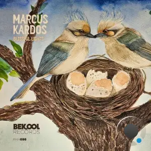 Marcus Kardos - Blessful Lights (2025)