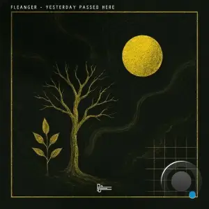 Fleanger - Yesterday Passed Here (2025)