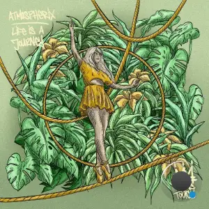 Atmospherix - Life Is A Journey LP (2025)