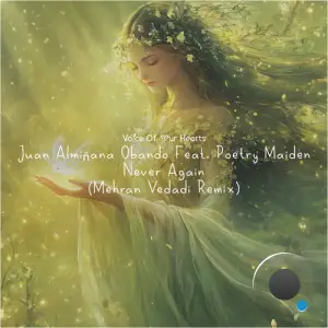 Juan Alminana Obando feat. Poetry Maiden - Never Again (Mehran Vedadi Remix) (2025)
