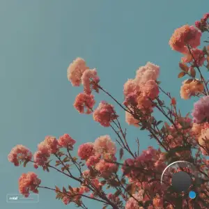 Tekasae - With You (2025)