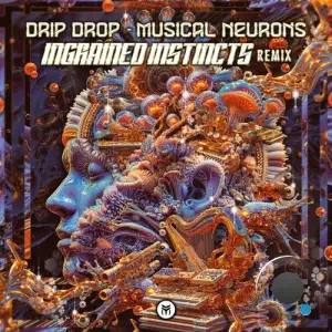 Drip Drop - Musical Neurons (Ingrained Instincts Remix) (2025)