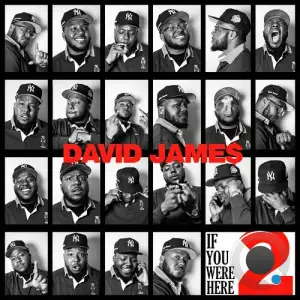 David James - If You Were Here 2 (2025)