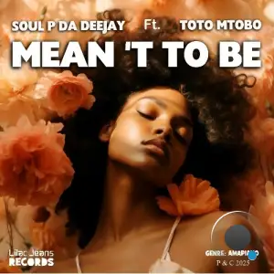 Soul P Da Deejay feat. Toto Mtobo - Meant to Be (2025)