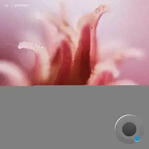 NECH032 (2025)