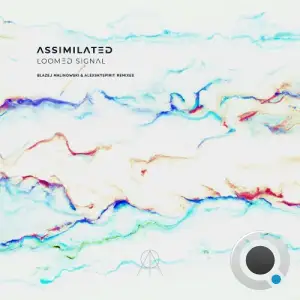Assimilated - Loomed Signal (2025)