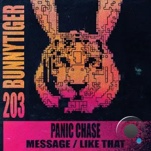 Panic Chase - Message / Like That (2025)