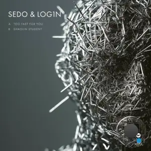 Sedo & LOG1N - Too Fast For You (2025)