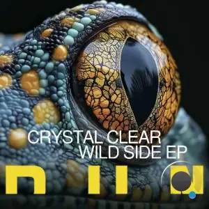 Crystal Clear, Minor Forms, 2SHY MC - Wild Side (2025)