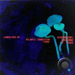Atlantic Connection - Landslides (2025)