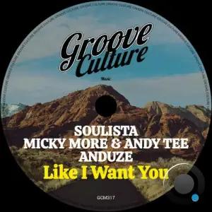 Soulista x Micky More And Andy Tee x Anduze - Like I Want You (2025)
