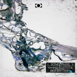Sonic Trace - Taking Control / Bonestash (2025)