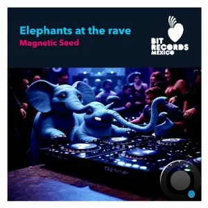 Magnetic Seed - Elephants At The Rave (2025)