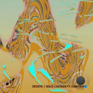 Zkosta ft. Camtraks - Gold Linings (2025)