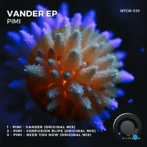 Pimi - Vander (2025)