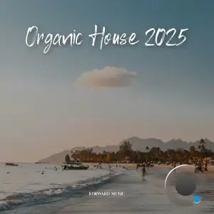 Organic House #04 (2025)