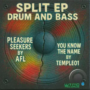 Temple01 & AFL - SPLIT EP VOL 3 (2025)