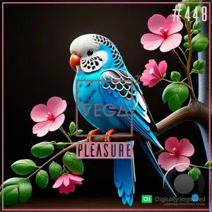 Vega Z - Pleasure 448 (2025-09-10)