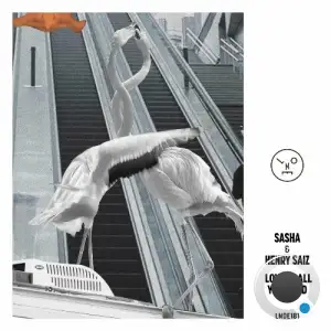 Sasha & Henry Saiz - Love Is All You Need (2025)