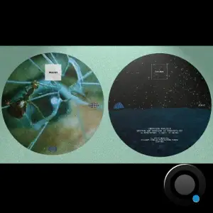 MarekSPolzki - Vibration Analysis (2025)