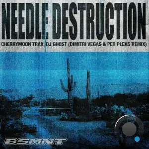 DJ Ghost - Needle Destruction (Dimitri Vegas & Per Pleks Extended Remix) (2025)