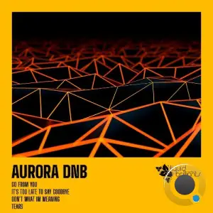 Aurora Dnb - Tears (2025)